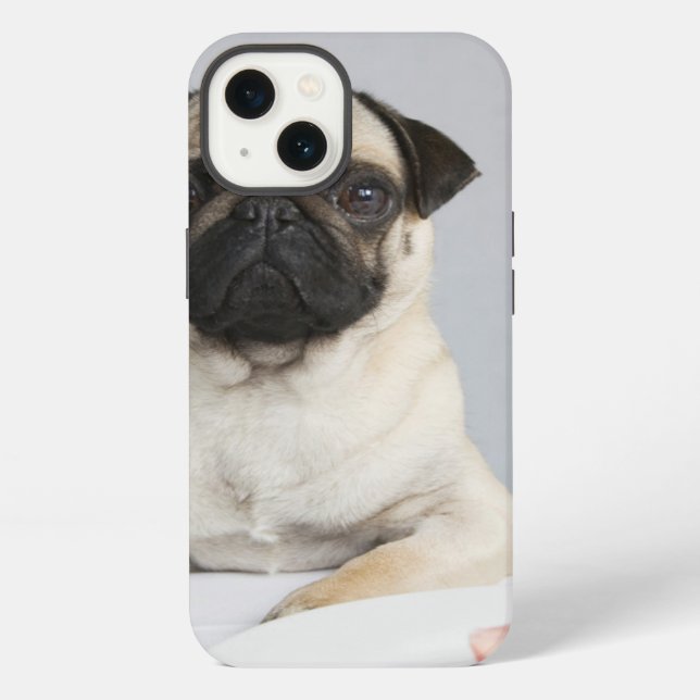 Coque iPhone Birthday Pug (Verso)