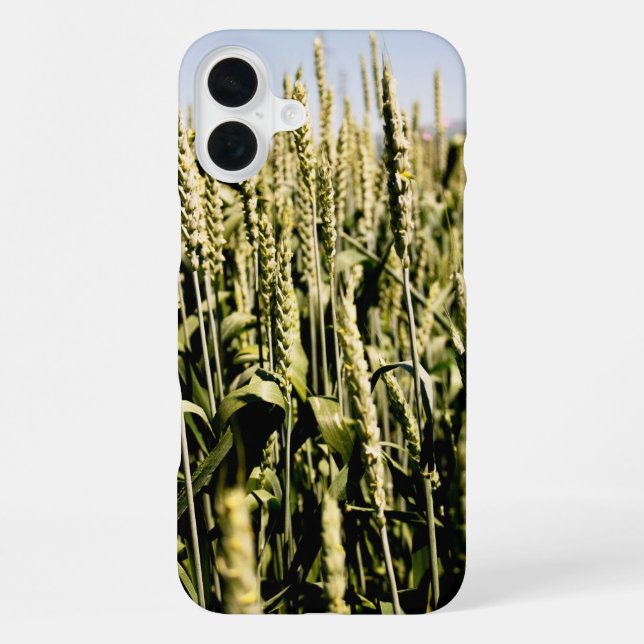 Coque iPhone Blé (Verso)