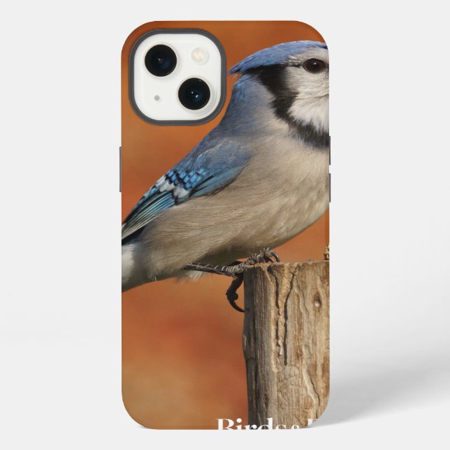 Coque iPhone Blue Jay (Verso)