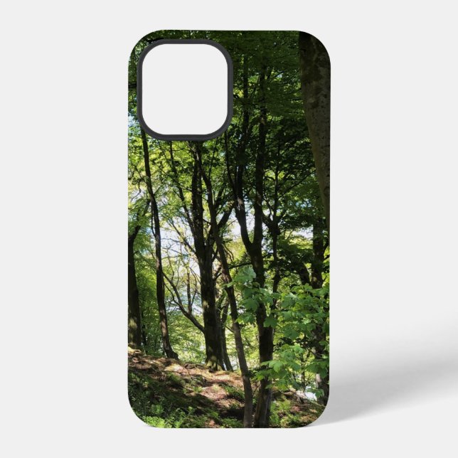 Coque iPhone Bois de forêt Conception de bois (Verso)