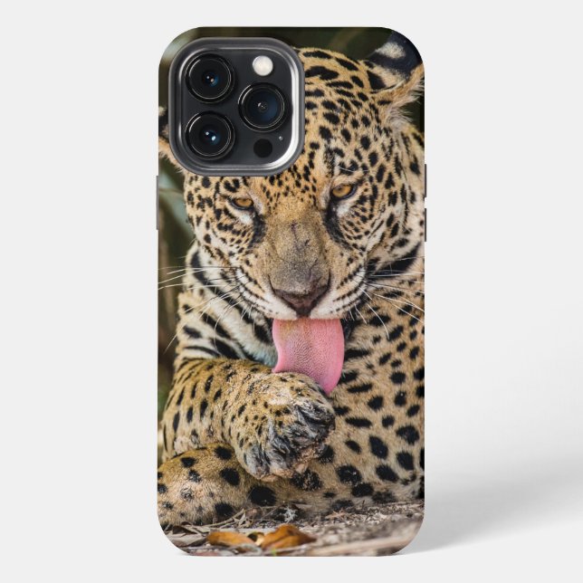 Coque iPhone Boîtier Jaguar Cub Case-Mate pour iPhone (Verso)