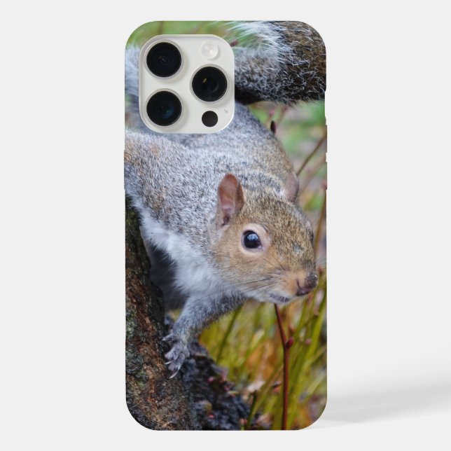 Coque iPhone Boîtier téléphonique pour écureuil (Verso)