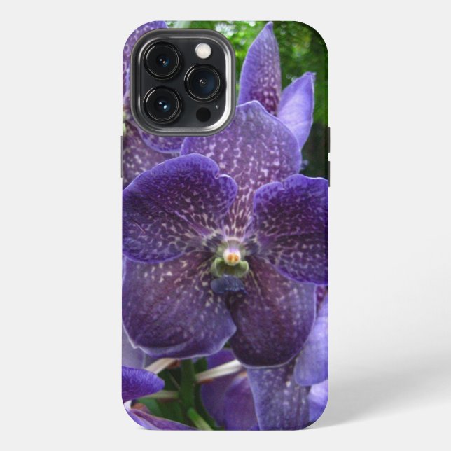 Coque iPhone Boîtier Vanda violet pour iPhone 13 Pro Max (Verso)