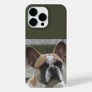 Coque Pour Pour iPhone 14 Pro Max Bouledogue français