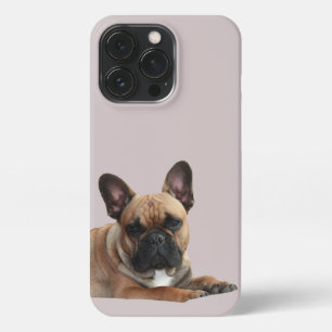 Etui iPhone 13 Pro Bouledogue français mignon