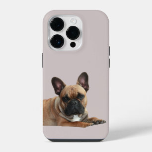 Coque Pour iPhone 14 Plus Bouledogue français Mignon French Bulldog