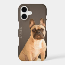 Bouledogue français Personnalisé Nom | Chien