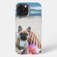 Bouledogue français sur la plage