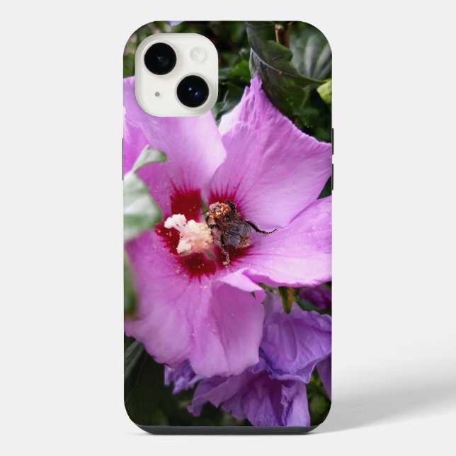 Coque iPhone Bourdon sur fleur d'Hibiscus (Verso)
