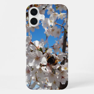 Coque iPhone 16 Plus Bourdon sur la floraison de cerisier sauvage