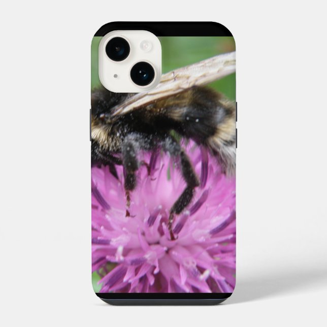 Coque iPhone Bourdon sur un Chardon (Verso)