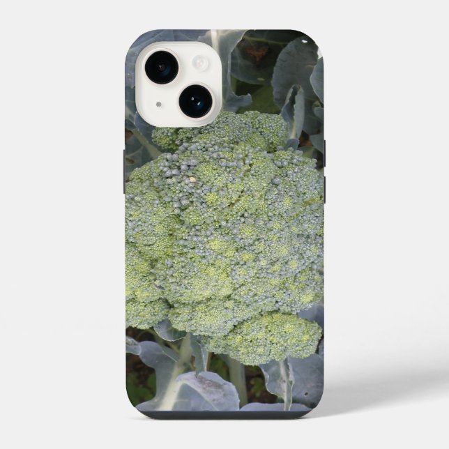 Coque iPhone Brocoli (Verso)