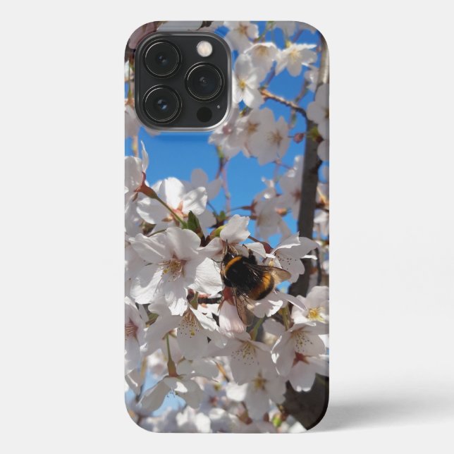 Coque iPhone Bumblebee sur la fleur de cerisier sauvage (Verso)
