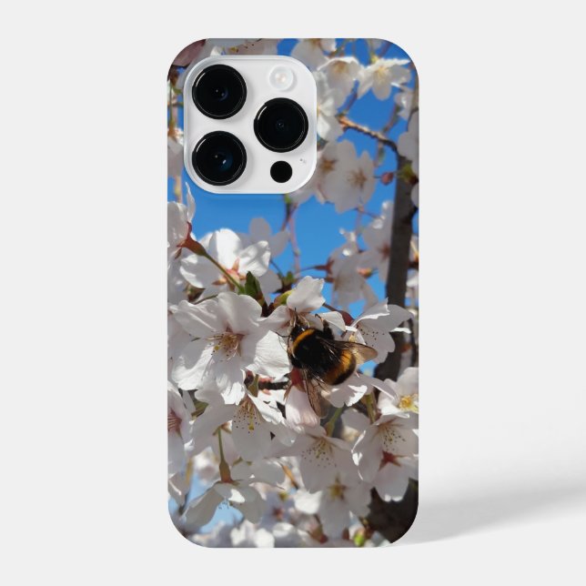 Coque iPhone Bumblebee sur la fleur de cerisier sauvage (Verso)