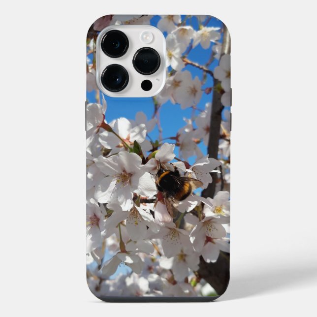 Coque iPhone Bumblebee sur la fleur de cerisier sauvage (Verso)
