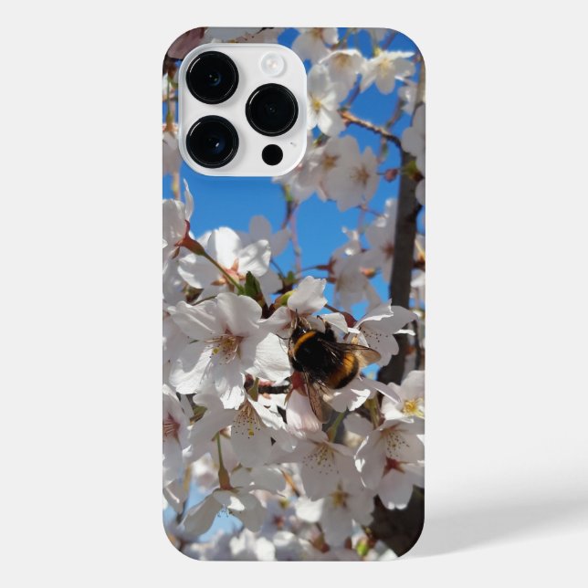 Coque iPhone Bumblebee sur la fleur de cerisier sauvage (Verso)
