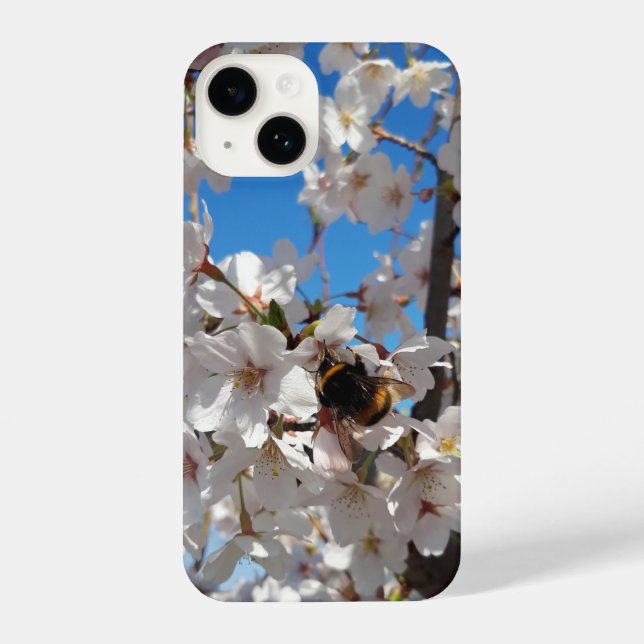Coque iPhone Bumblebee sur la fleur de cerisier sauvage (Verso)