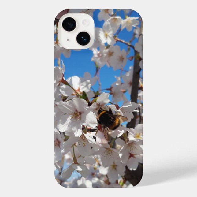 Coque iPhone Bumblebee sur la fleur de cerisier sauvage (Verso)