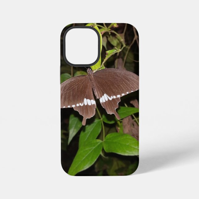 Coque iPhone cadeau pour amateur de papillons (Verso)