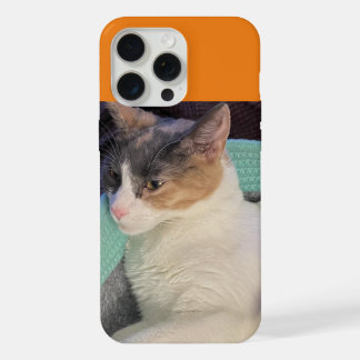 Coque iPhone 15 Pro Max Calico Chat dans le lit de chat
