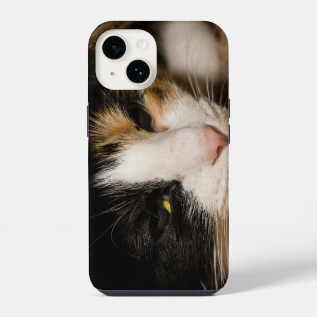 Coque iPhone Calico Face (Verso)