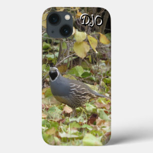 Coque iphone Californie Coque-Mate