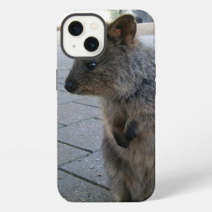 Etui iPhone 13 "Câlins en Australie : un Quokka gris câlin"