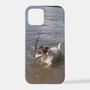 Coque iPhone 12 Pro Capo von Oppenheim, Jack Russell Terrier Chien
