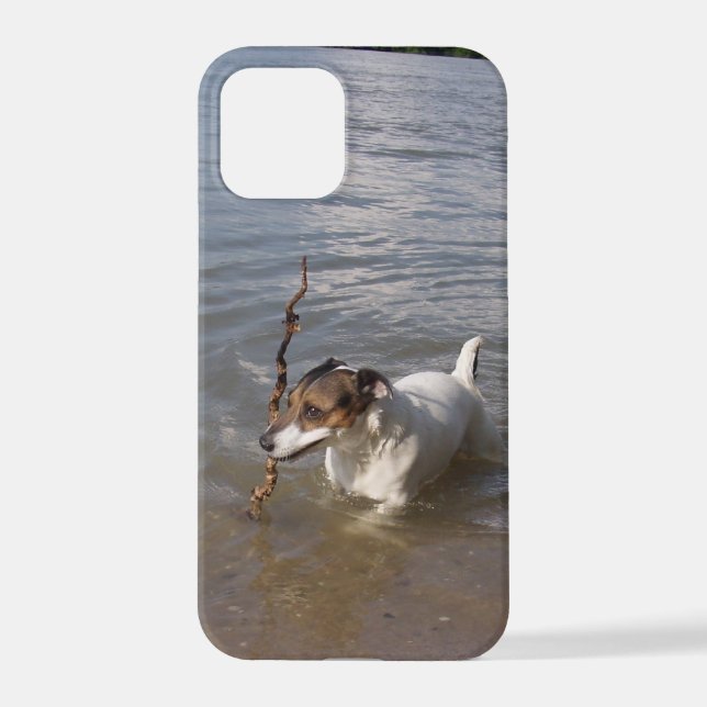 Coque iPhone Capo von Oppenheim, Jack Russell Terrier Chien (Verso)