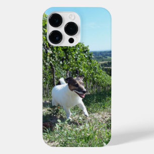 Coque Pour Pour iPhone 14 Pro Max Capo von Oppenheim Jack Russell Terrier, Chien