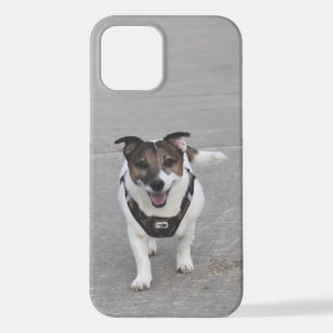 Coque iPhone 12 Capo von Oppenheim, Jack Russell Terrier Chien