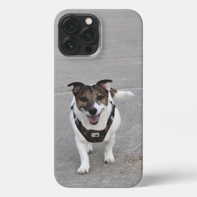 Coque iPhone Capo von Oppenheim, Jack Russell Terrier Chien (Verso)