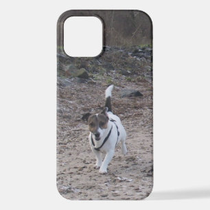 Coque iPhone 12 Capo von Oppenheim, Jack Russell Terrier Chien