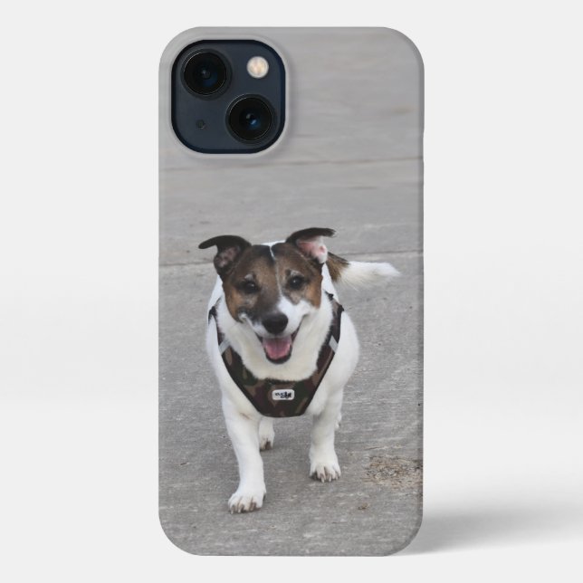 Coque iPhone Capo von Oppenheim, Jack Russell Terrier Chien (Verso)