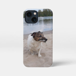 Etui iPhone 13 Mini Capo von Oppenheim, Jack Russell Terrier Chien