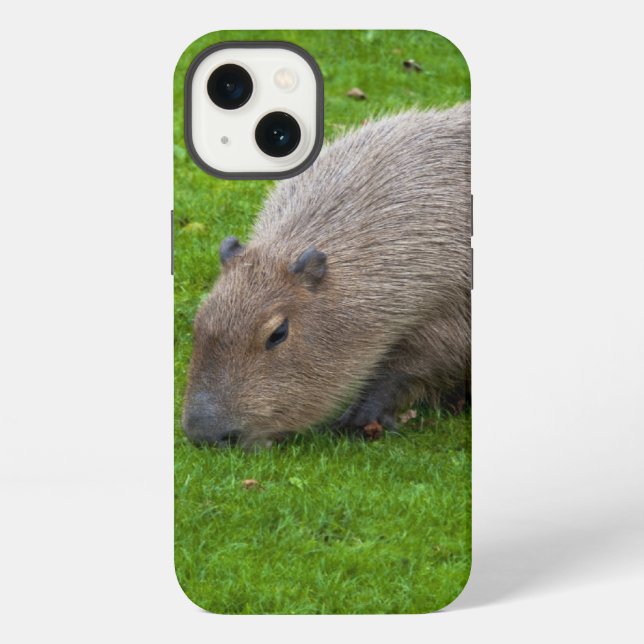 Coque iPhone Capybara Animal Incroyable (Verso)