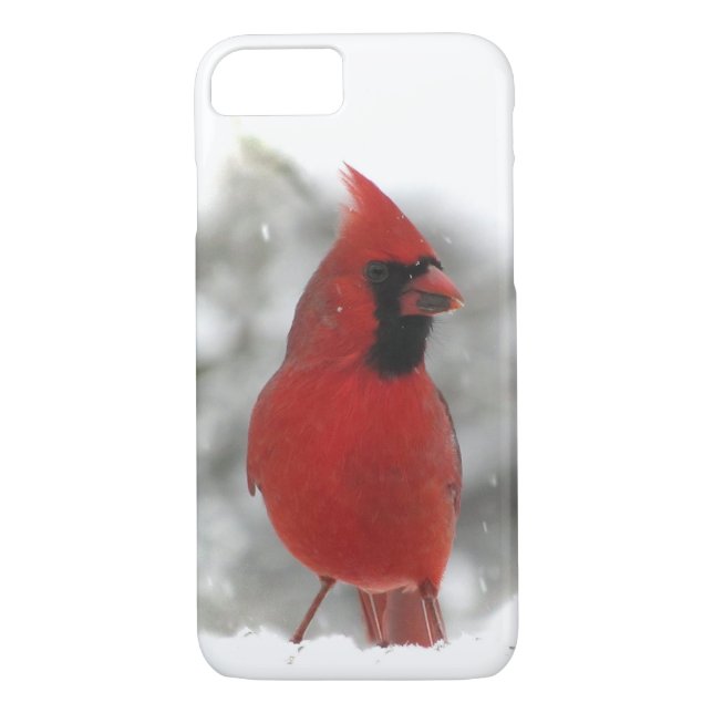 coque iphone Cardinal Bird (Dos)