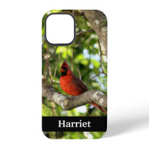 Cardinal Rouge dans l'Arbre Personnalisé