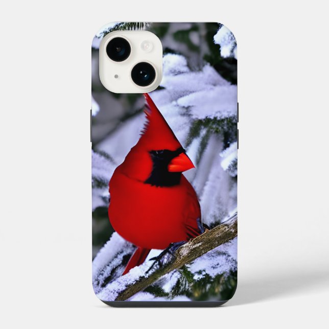 Coque iPhone Cardinal rouge d'hiver (Verso)