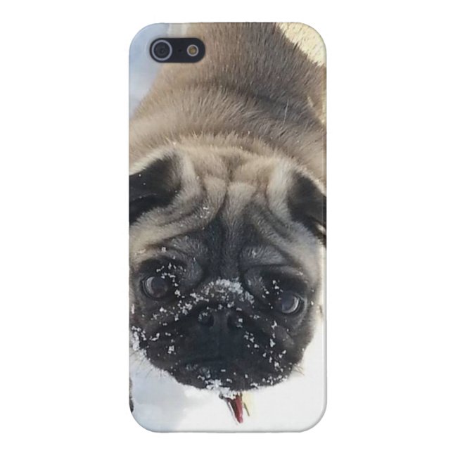 Coque iPhone Cas brillant de l'iPhone 5/5s de carlin de Milou (Dos)