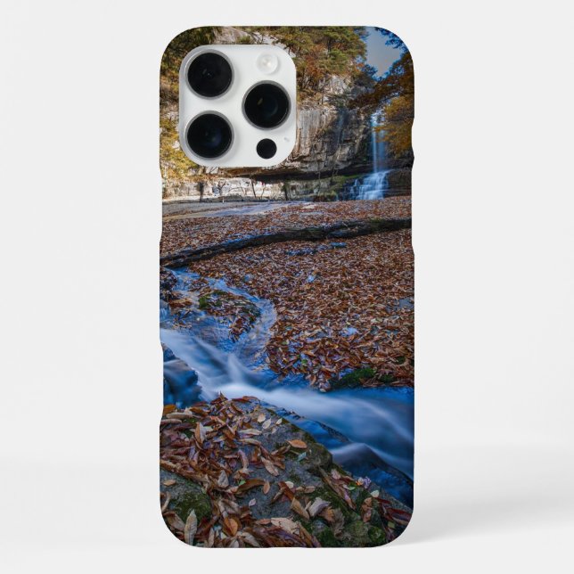 Coque iPhone Cascade  (Verso)