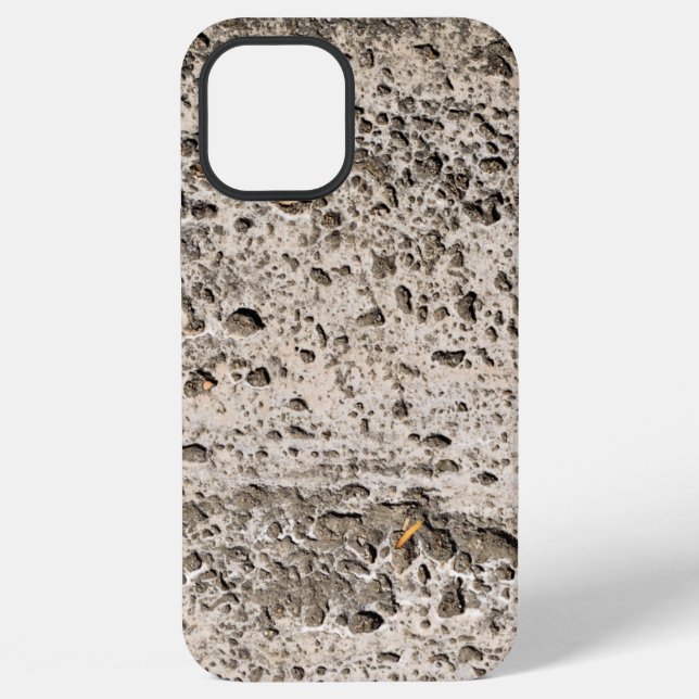 Coque iPhone Case-Mate Barely There Apple iPhone 12 Pro Max (Verso)