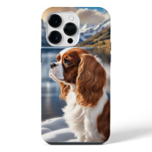 Cavalier King Charles