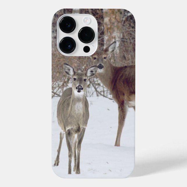 Coque iPhone Cerf de Virginie  (Verso)