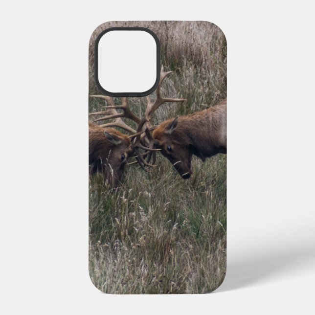 COQUE iPhone CERFS COMBATTANTS (Verso)