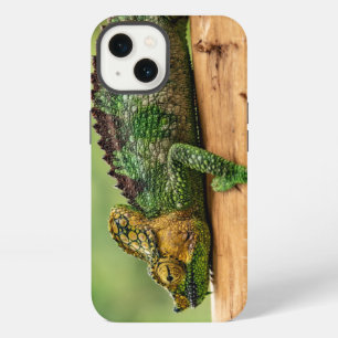 Etui iPhone 13 Chameleon, reptile, nature
