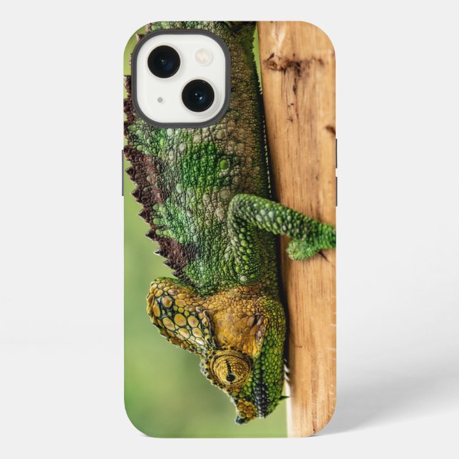 Coque iPhone Chameleon, reptile, nature (Verso)