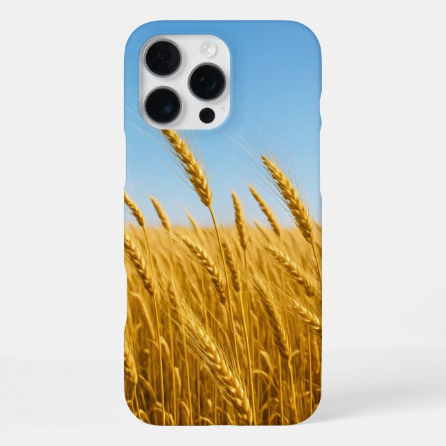 Coque iPhone Champ de blé ensoleillé (Verso)