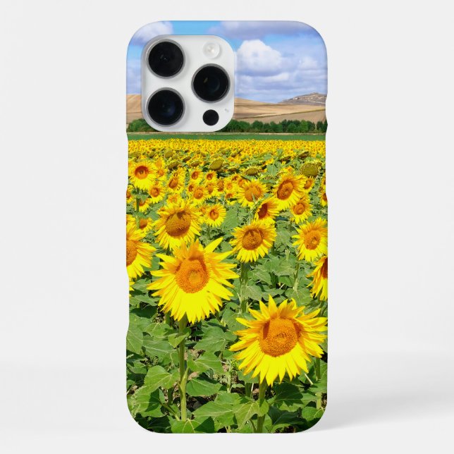 Coque iPhone Champ de tournesols (Verso)