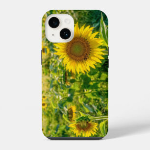 Coque Pour iPhone 14 Champ de Tournesols Dorés